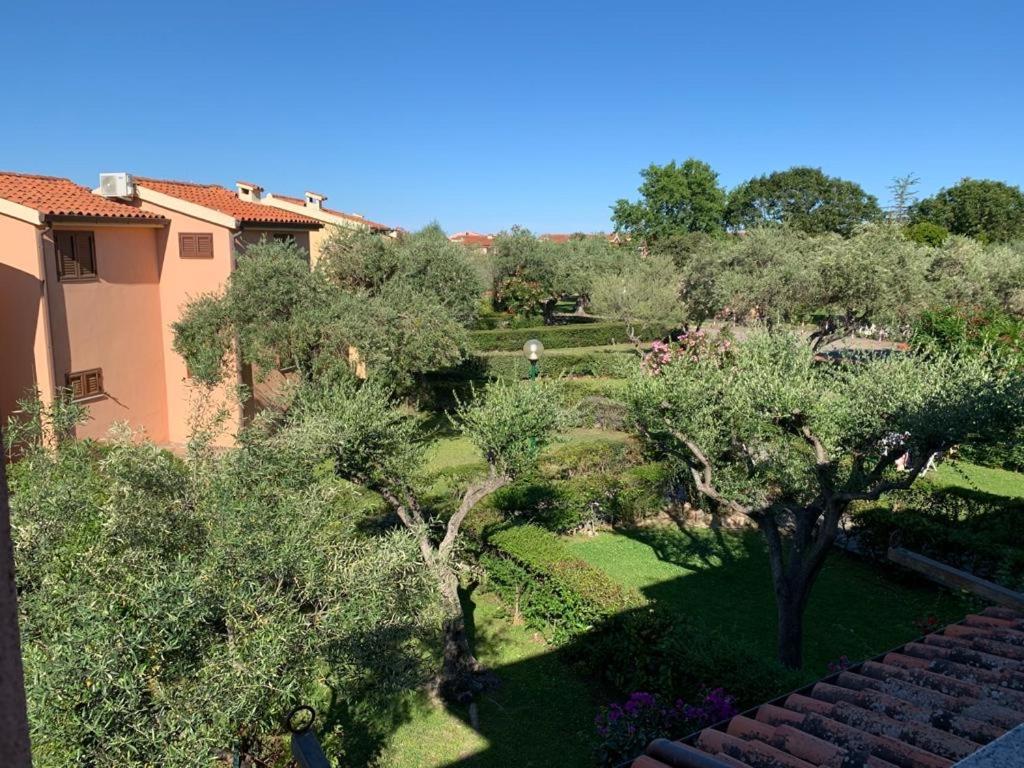 Bilocale Residence Gli Ulivi San Teodoro Сан-Теодоро Экстерьер фото